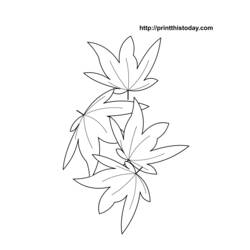 Dibujo para colorear: Temporada de Otoño (Naturaleza) #164196 - Dibujos para Colorear e Imprimir Gratis