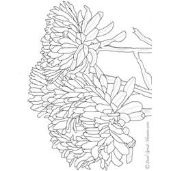 Dibujo para colorear: Temporada de Otoño (Naturaleza) #164221 - Dibujos para Colorear e Imprimir Gratis