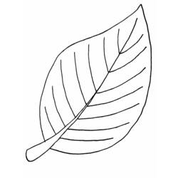 Dibujo para colorear: Temporada de Otoño (Naturaleza) #164243 - Dibujos para Colorear e Imprimir Gratis