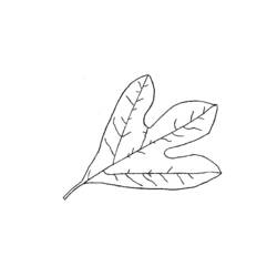 Dibujo para colorear: Temporada de Otoño (Naturaleza) #164264 - Dibujos para Colorear e Imprimir Gratis