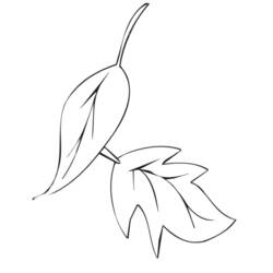 Dibujo para colorear: Temporada de Otoño (Naturaleza) #164284 - Dibujos para Colorear e Imprimir Gratis