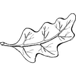 Dibujo para colorear: Temporada de Otoño (Naturaleza) #164299 - Dibujos para Colorear e Imprimir Gratis