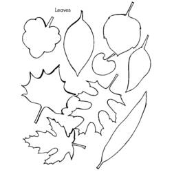 Dibujo para colorear: Temporada de Otoño (Naturaleza) #164301 - Dibujos para Colorear e Imprimir Gratis