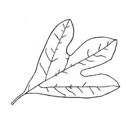 Dibujo para colorear: Temporada de Otoño (Naturaleza) #164302 - Dibujos para Colorear e Imprimir Gratis