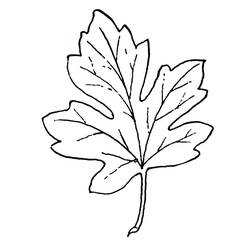 Dibujo para colorear: Temporada de Otoño (Naturaleza) #164317 - Dibujos para Colorear e Imprimir Gratis