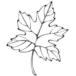 Dibujo para colorear: Temporada de Otoño (Naturaleza) #164351 - Dibujos para Colorear e Imprimir Gratis