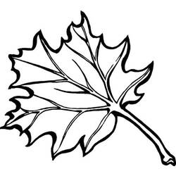 Dibujo para colorear: Temporada de Otoño (Naturaleza) #164357 - Dibujos para Colorear e Imprimir Gratis