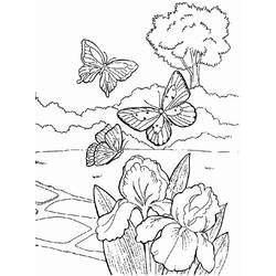 Dibujo para colorear: Temporada de Primavera (Naturaleza) #164753 - Dibujos para colorear