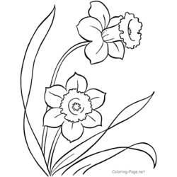 Dibujo para colorear: Temporada de Primavera (Naturaleza) #164795 - Dibujos para Colorear e Imprimir Gratis