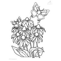 Dibujo para colorear: Temporada de Primavera (Naturaleza) #164854 - Dibujos para Colorear e Imprimir Gratis