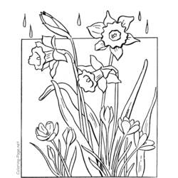 Dibujo para colorear: Temporada de Primavera (Naturaleza) #164876 - Dibujos para Colorear e Imprimir Gratis