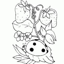 Dibujo para colorear: Temporada de Primavera (Naturaleza) #164894 - Dibujos para Colorear e Imprimir Gratis