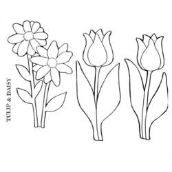 Dibujo para colorear: Temporada de Primavera (Naturaleza) #164915 - Dibujos para Colorear e Imprimir Gratis