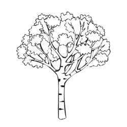 Dibujo para colorear: Temporada de Primavera (Naturaleza) #164955 - Dibujos para Colorear e Imprimir Gratis