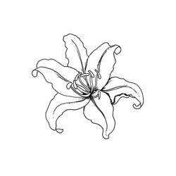 Dibujo para colorear: Temporada de Primavera (Naturaleza) #165008 - Dibujos para Colorear e Imprimir Gratis