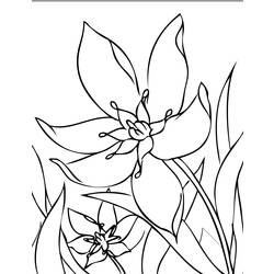 Dibujo para colorear: Temporada de Primavera (Naturaleza) #165014 - Dibujos para Colorear e Imprimir Gratis
