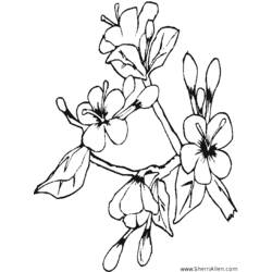 Dibujo para colorear: Temporada de Primavera (Naturaleza) #165094 - Dibujos para Colorear e Imprimir Gratis