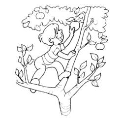 Dibujo para colorear: Temporada de Verano (Naturaleza) #165236 - Dibujos para Colorear e Imprimir Gratis