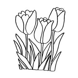 Dibujo para colorear: Tulipán (Naturaleza) #161613 - Dibujos para colorear