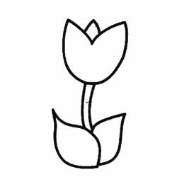 Dibujo para colorear: Tulipán (Naturaleza) #161618 - Dibujos para Colorear e Imprimir Gratis