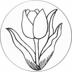 Dibujo para colorear: Tulipán (Naturaleza) #161622 - Dibujos para colorear