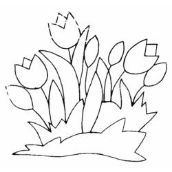 Dibujo para colorear: Tulipán (Naturaleza) #161624 - Dibujos para Colorear e Imprimir Gratis