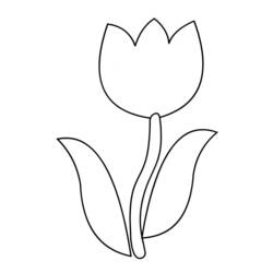 Dibujo para colorear: Tulipán (Naturaleza) #161625 - Dibujos para colorear