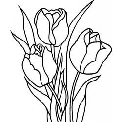 Dibujo para colorear: Tulipán (Naturaleza) #161634 - Dibujos para colorear