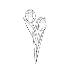 Dibujo para colorear: Tulipán (Naturaleza) #161635 - Dibujos para Colorear e Imprimir Gratis