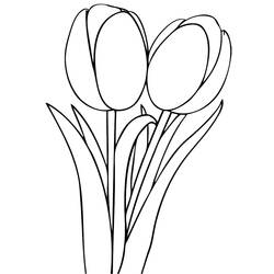 Dibujo para colorear: Tulipán (Naturaleza) #161700 - Dibujos para colorear