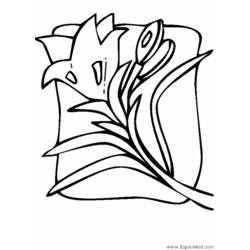 Dibujo para colorear: Tulipán (Naturaleza) #161703 - Dibujos para Colorear e Imprimir Gratis