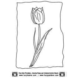 Dibujo para colorear: Tulipán (Naturaleza) #161712 - Dibujos para Colorear e Imprimir Gratis