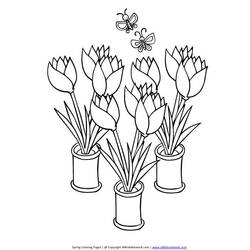 Dibujo para colorear: Tulipán (Naturaleza) #161714 - Dibujos para Colorear e Imprimir Gratis
