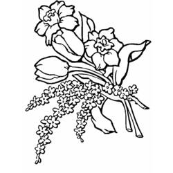 Dibujo para colorear: Tulipán (Naturaleza) #161715 - Dibujos para Colorear e Imprimir Gratis