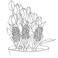 Dibujo para colorear: Tulipán (Naturaleza) #161724 - Dibujos para Colorear e Imprimir Gratis