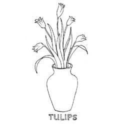 Dibujo para colorear: Tulipán (Naturaleza) #161752 - Dibujos para Colorear e Imprimir Gratis
