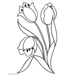 Dibujo para colorear: Tulipán (Naturaleza) #161780 - Dibujos para Colorear e Imprimir Gratis