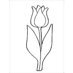 Dibujo para colorear: Tulipán (Naturaleza) #161791 - Dibujos para colorear