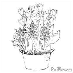 Dibujo para colorear: Tulipán (Naturaleza) #161792 - Dibujos para Colorear e Imprimir Gratis