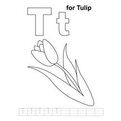 Dibujo para colorear: Tulipán (Naturaleza) #161796 - Dibujos para Colorear e Imprimir Gratis