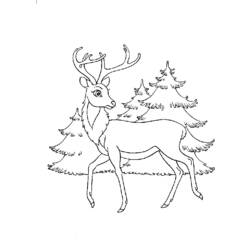 Dibujo para colorear: Bambi (Películas de animación) #128542 - Dibujos para Colorear e Imprimir Gratis