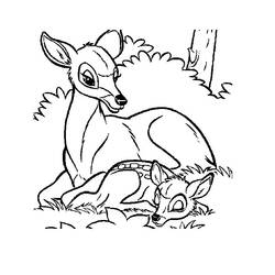 Dibujo para colorear: Bambi (Películas de animación) #128689 - Dibujos para Colorear e Imprimir Gratis