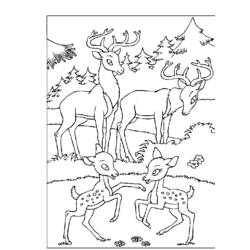 Dibujo para colorear: Bambi (Películas de animación) #128730 - Dibujos para Colorear e Imprimir Gratis