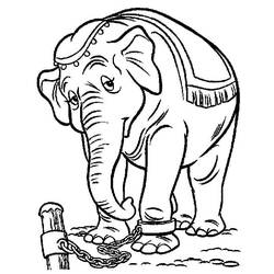 Dibujo Dumbo (Películas de Animación) #187130 para imprimir y colorear