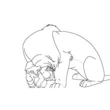 Dibujo para colorear: El Rey León (Películas de Animación) #73652 - Dibujos para Colorear e Imprimir Gratis