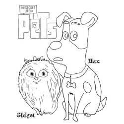 Dibujos para colorear: The Secret Life of Pets - Dibujos para Colorear e Imprimir Gratis