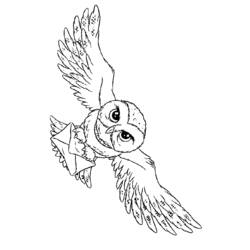 Dibujo para colorear: Harry Potter (Películas y Series de TV) #69501 - Dibujos para Colorear e Imprimir Gratis