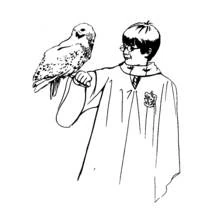 Dibujo Harry Potter (Películas y Series de TV) #69617 para imprimir y colorear