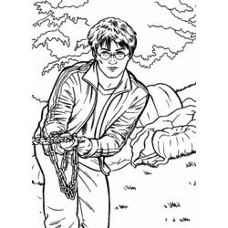 Dibujo para colorear: Harry Potter (Películas y Series de TV) #69633 - Dibujos para Colorear e Imprimir Gratis