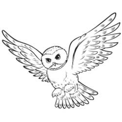 Dibujo para colorear: Harry Potter (Películas y Series de TV) #69704 - Dibujos para Colorear e Imprimir Gratis